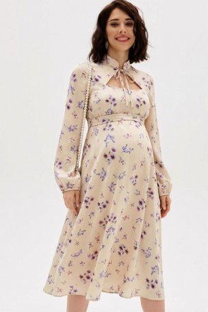 ������ ��� ����������